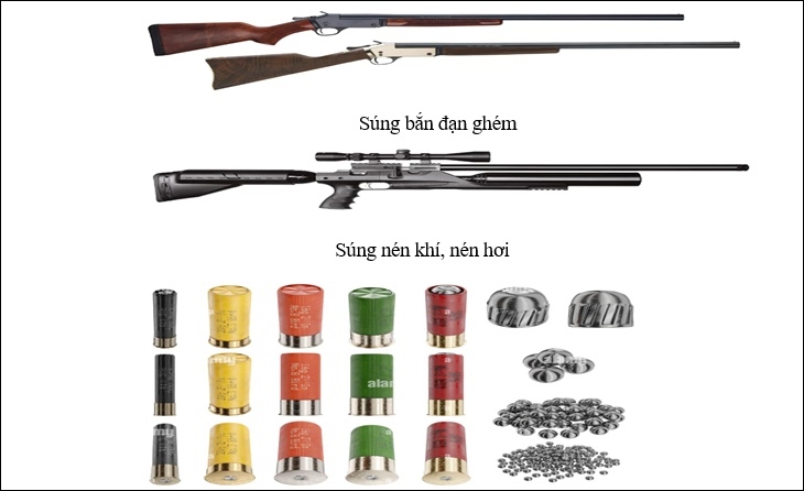 nguoi su dung, tang tru sung ban dan ghem, sung hoi se doi mat voi toi hinh su hinh anh 1