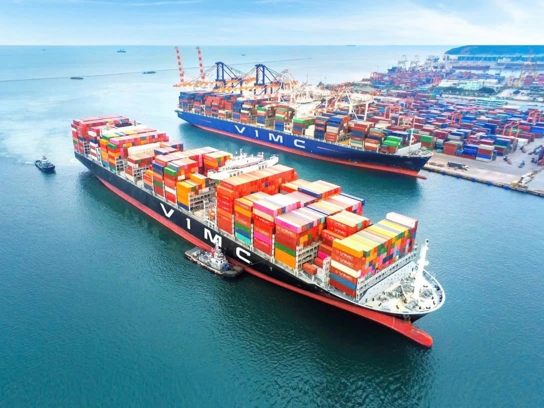 viet nam gop 51 von lam sieu cang can gio, la trung tam trung chuyen quoc te hinh anh 2