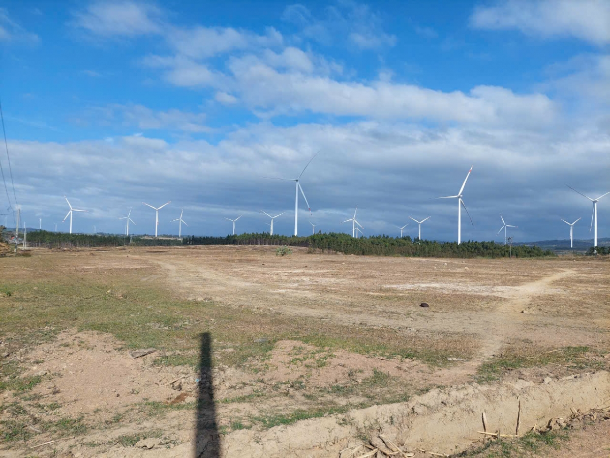 cu tri tay nguyen - nam trung bo ky vong vao nhung don bay chinh sach hinh anh 3