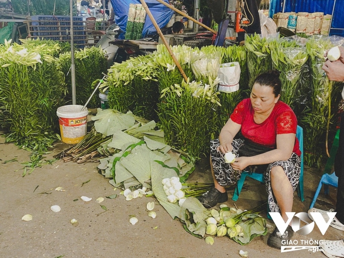 lily harvest in full swing in hanoi s tay tuu flower village picture 15