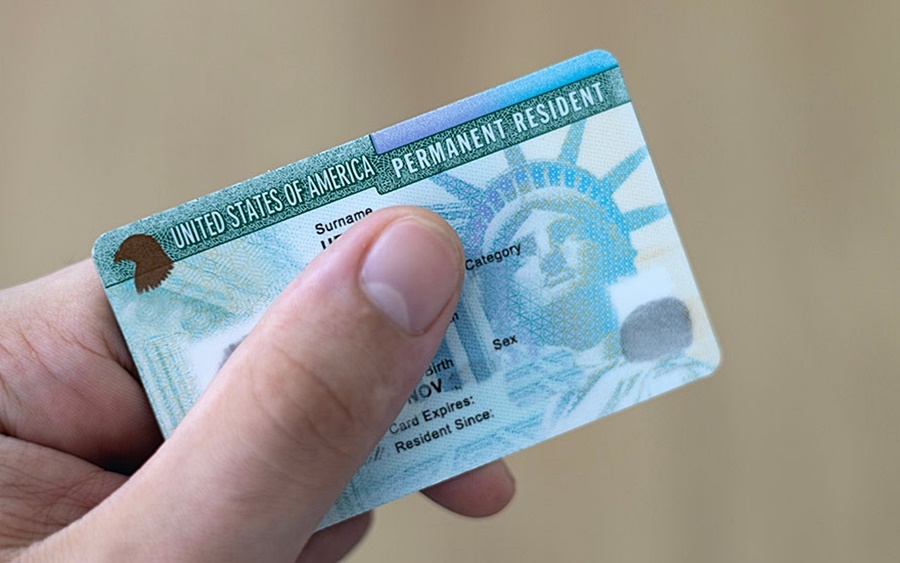 my cat giam mot nua luong the xanh hinh anh 1