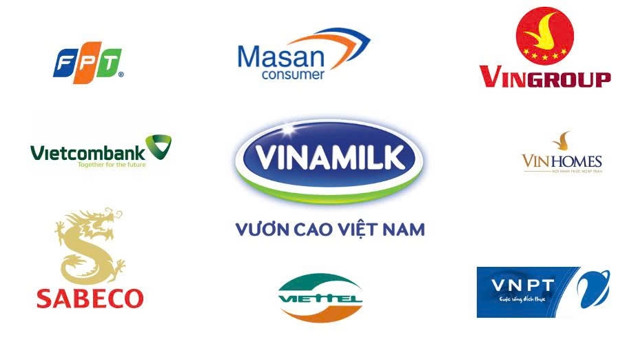 thuong hieu viet giam 14 noi luc co, vi sao chua but pha hinh anh 2