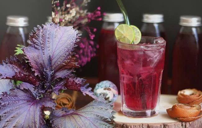 nuoc la tia to su that ve loi ich va nhung nguoi khong nen uong hinh anh 1