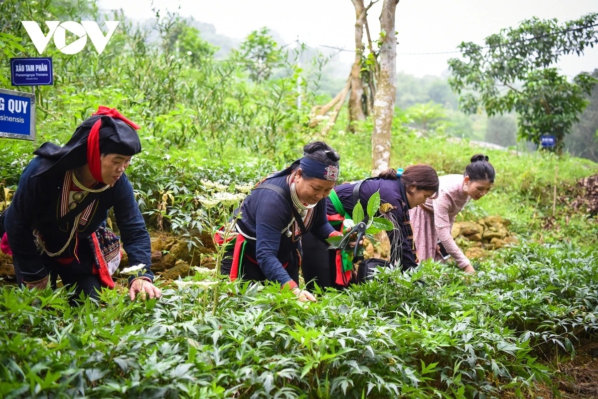 ha noi ra mat nhieu tuyen du lich doc dao o ngoai thanh hinh anh 3