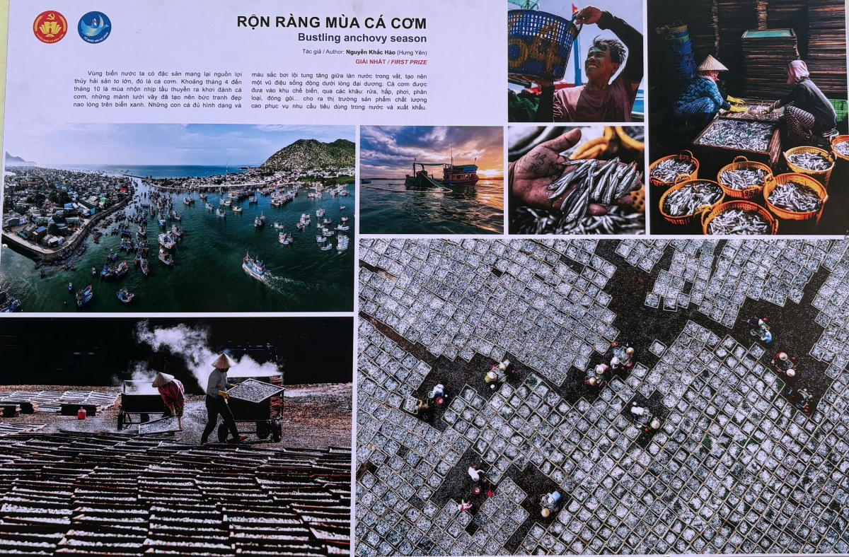 trien lam tp.hcm vang mai khuc khai hoan ky niem 51 nam thong nhat dat nuoc hinh anh 1