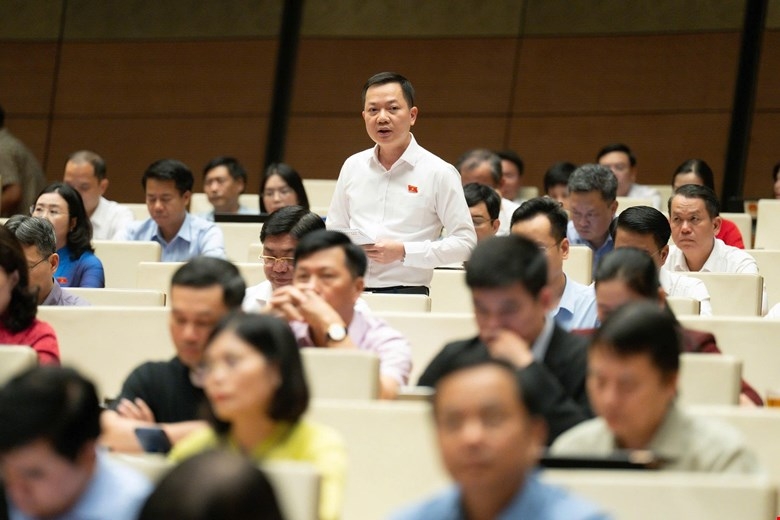 chu dong bao ve loi ich quoc gia trong tranh chap dau tu quoc te hinh anh 2