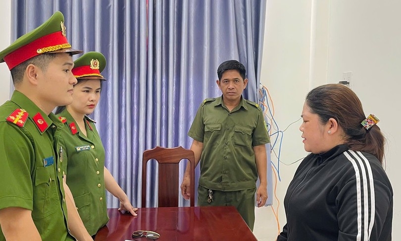 bat tam giam nu giam doc doanh nghiep vi toi tron thue hinh anh 1