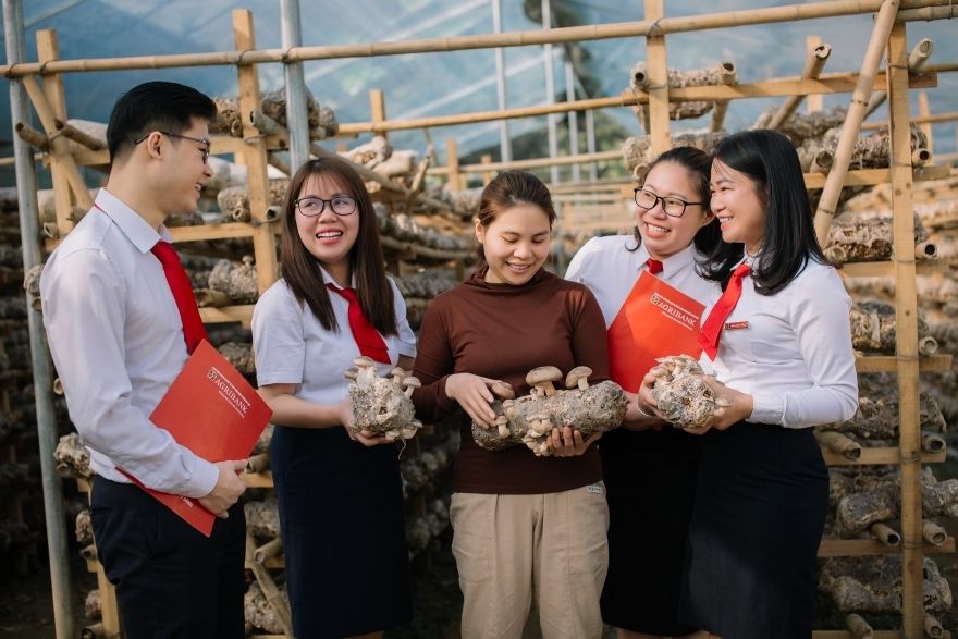 ke khai thue de dang chuyen doi doanh nghiep vung vang hinh anh 3