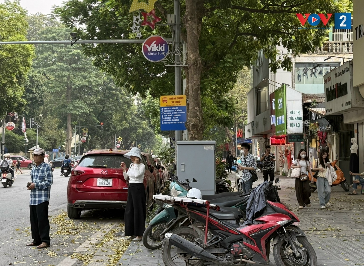 De tam ve xe buyt 0 dong thuc su hap dan hinh anh 3