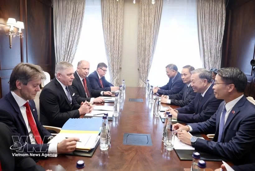vietnam, slovakia look to promote substantive cooperation in bilateral ties picture 1