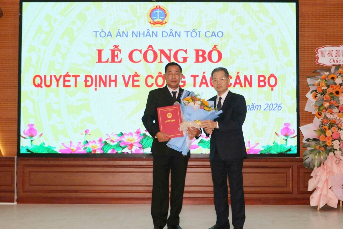 Ong vo ke nghiep giu chuc chanh an tand tinh ca mau hinh anh 1