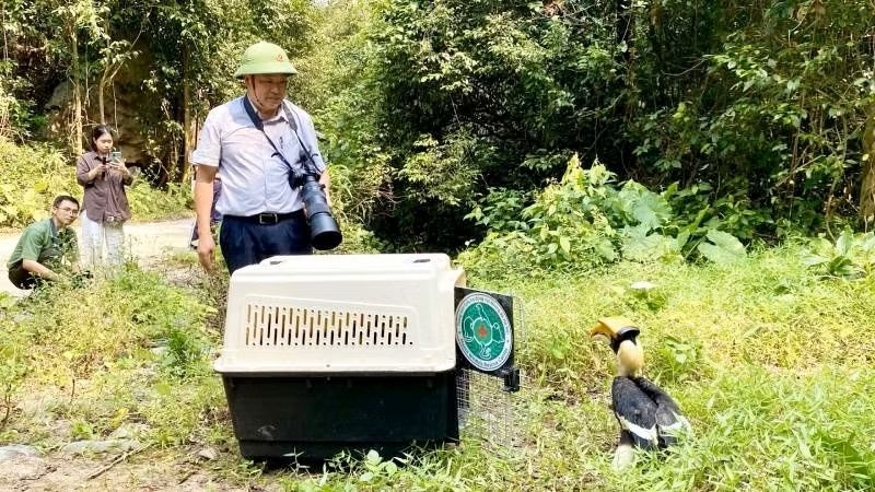 nearly 170 wild animals released into the wild in phong nha-ke bang picture 1
