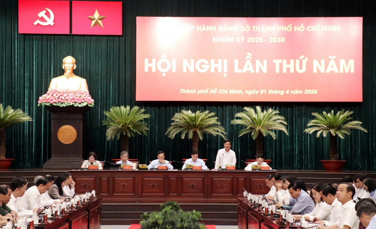 phan cong nhiem vu trong tam cho cac pho bi thu thanh uy tp.hcm hinh anh 1