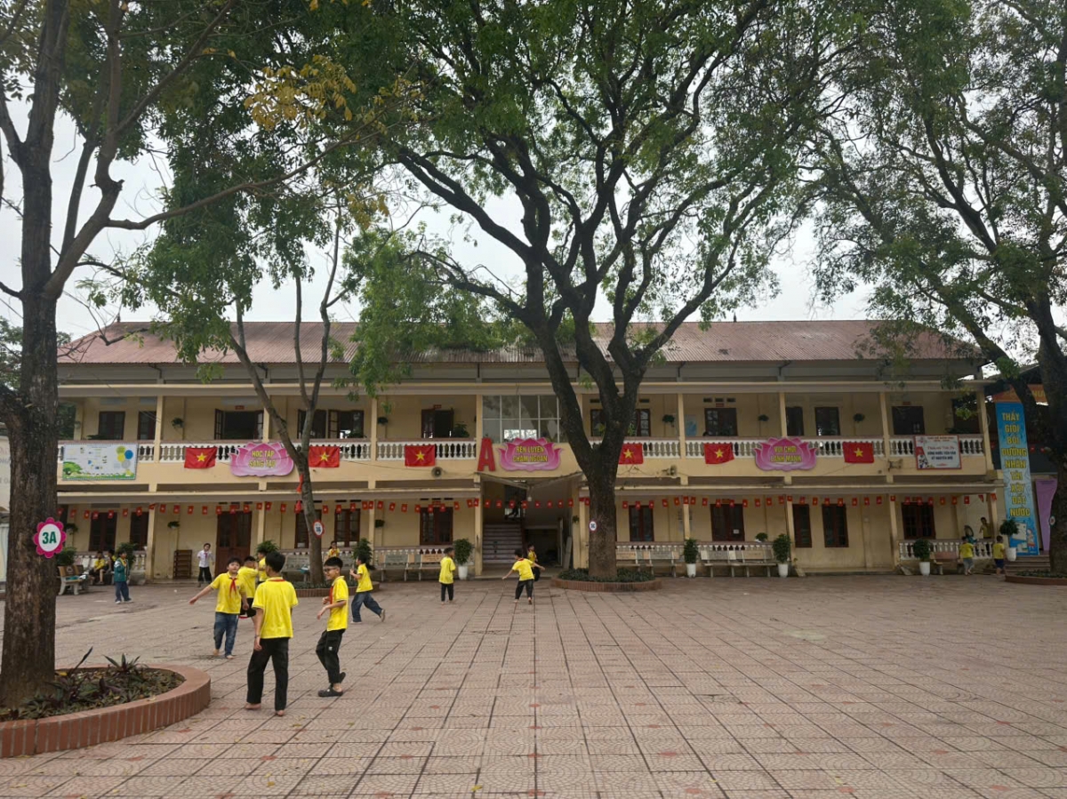 Vụ tiêu thụ gần 300 tấn thịt lợn nhiễm bệnh, nhiều trường học ở Bắc Ninh nói gì?