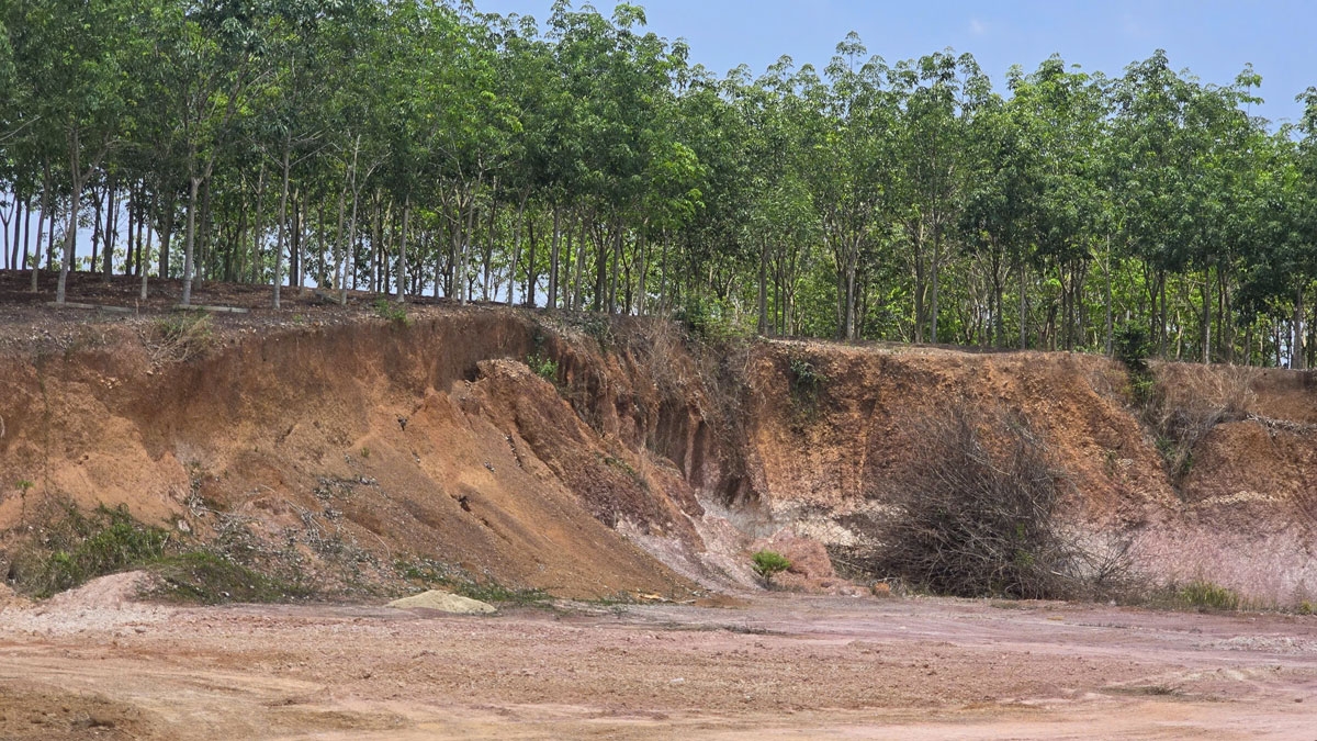 Vụ "khoét" đất gây sạt lở ở Đồng Nai: Chưa thể xác định khối lượng đất di dời