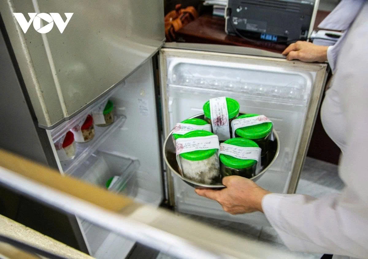 thit lon benh vao truong hoc phu huynh tang giam sat bep an trong noi so mo ho hinh anh 2