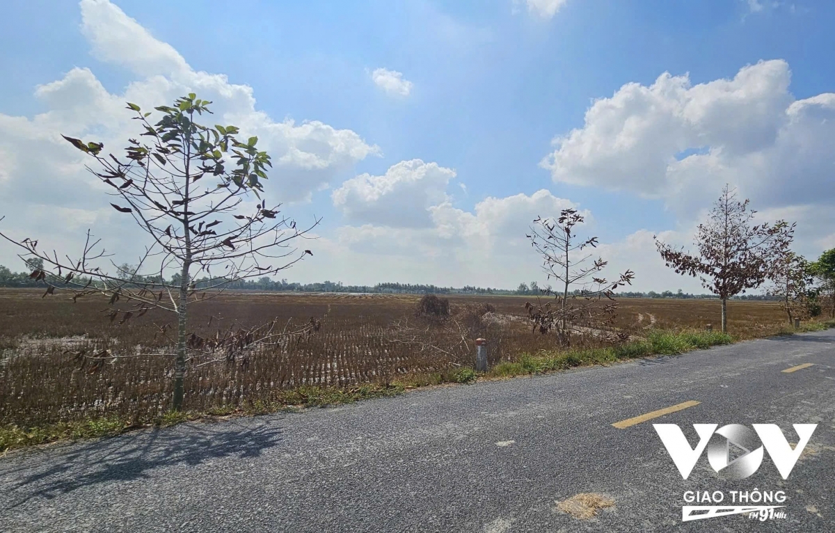 Dot dong sau thu hoach lang phi, o nhiem moi truong va tiem an tai nan hinh anh 3