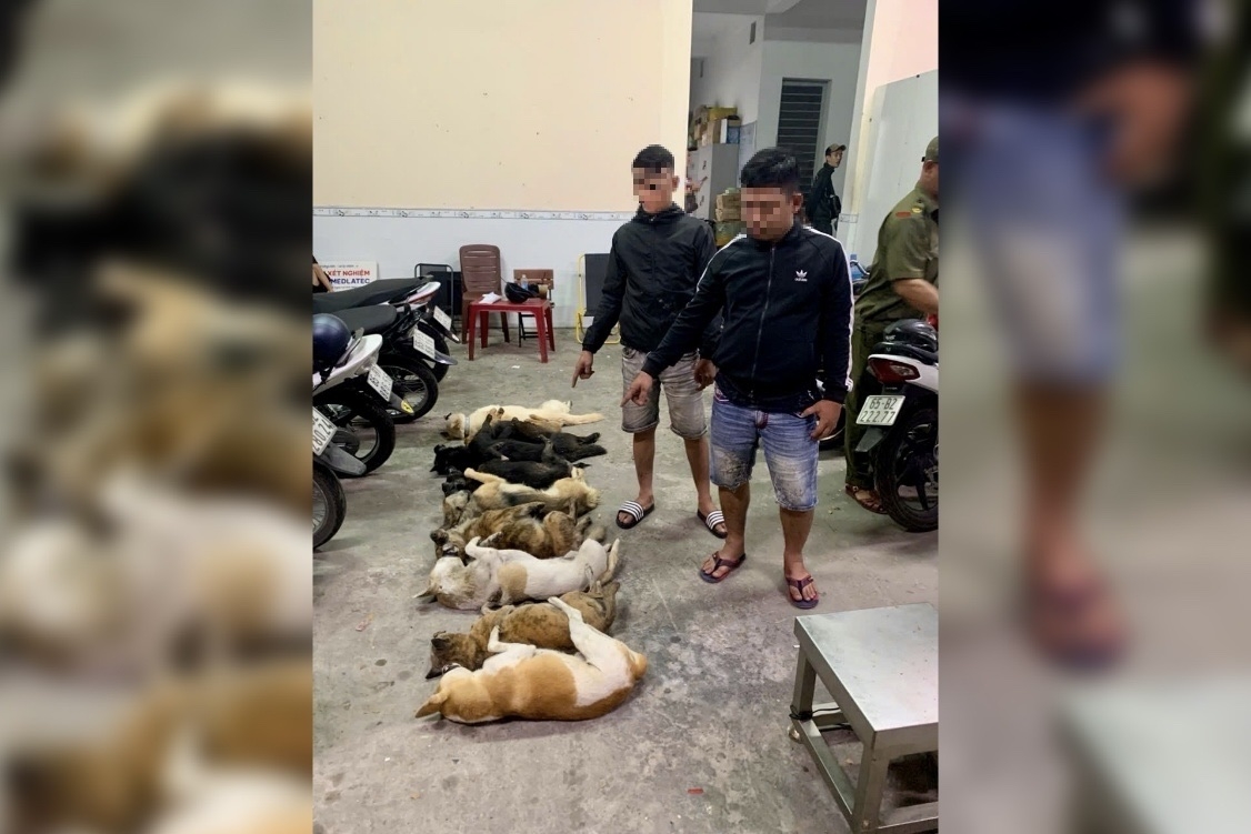 bat giu 2 doi tuong mang sung tu che va kich dien di trom cho hinh anh 1