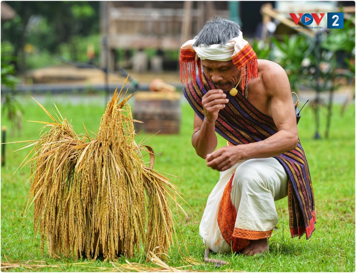 ron rang thanh am arya trong le mung lua moi cua nguoi chu ru hinh anh 5