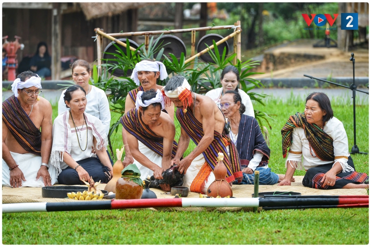ron rang thanh am arya trong le mung lua moi cua nguoi chu ru hinh anh 4