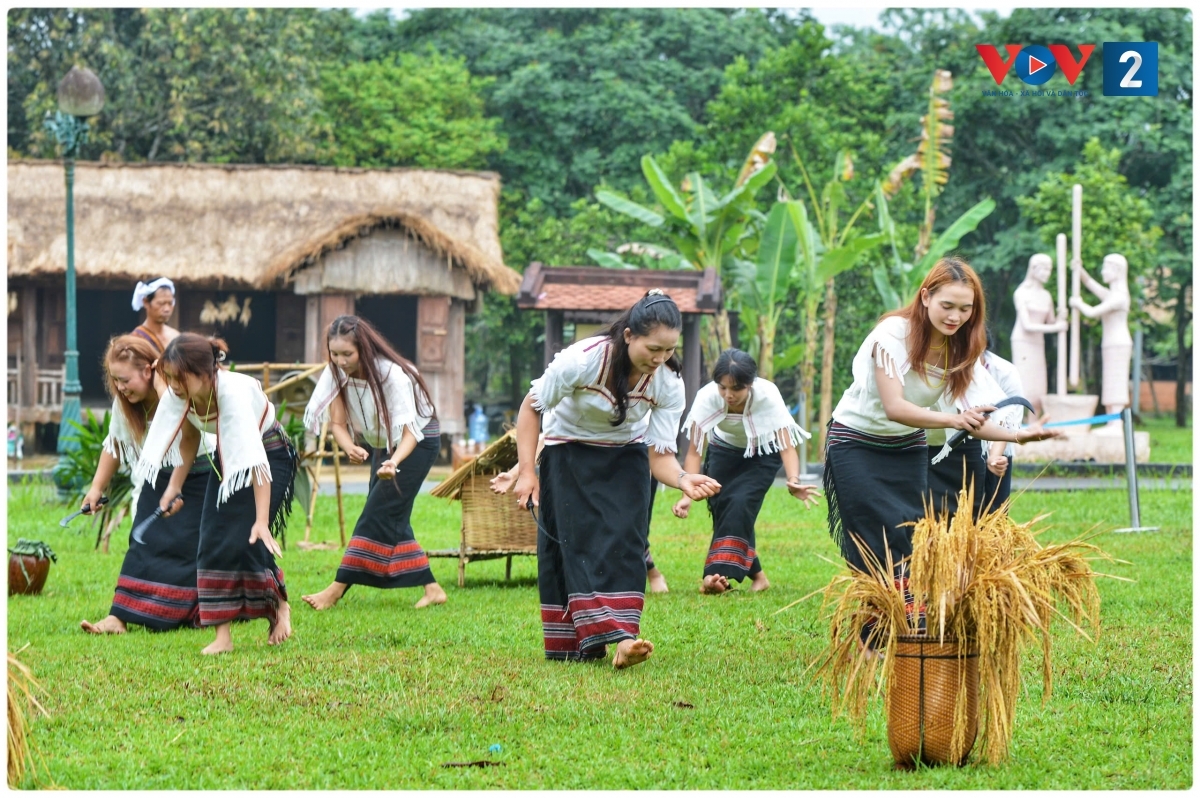 ron rang thanh am arya trong le mung lua moi cua nguoi chu ru hinh anh 2