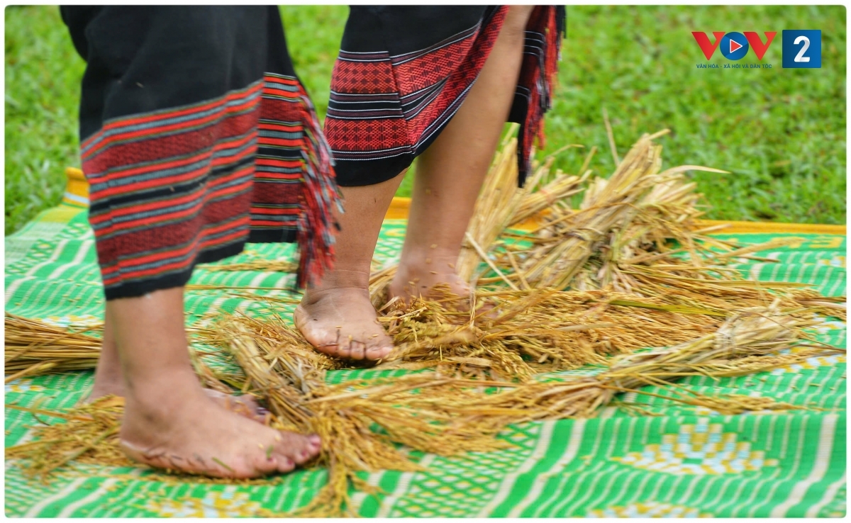 ron rang thanh am arya trong le mung lua moi cua nguoi chu ru hinh anh 3