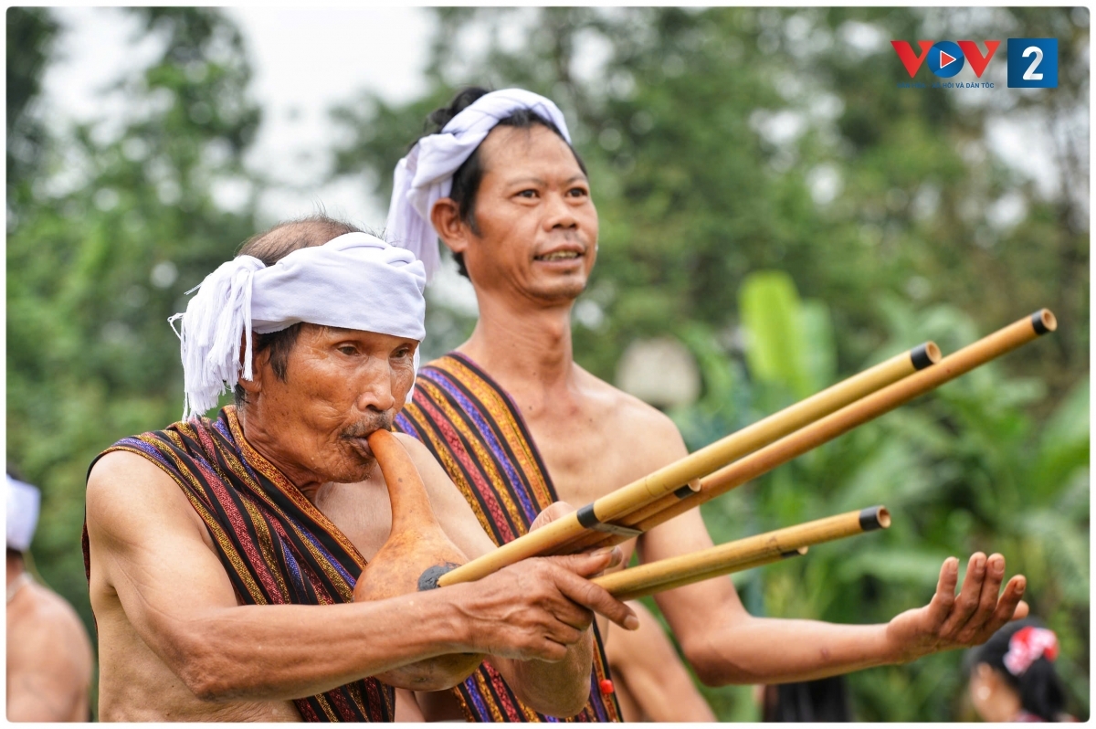 ron rang thanh am arya trong le mung lua moi cua nguoi chu ru hinh anh 6
