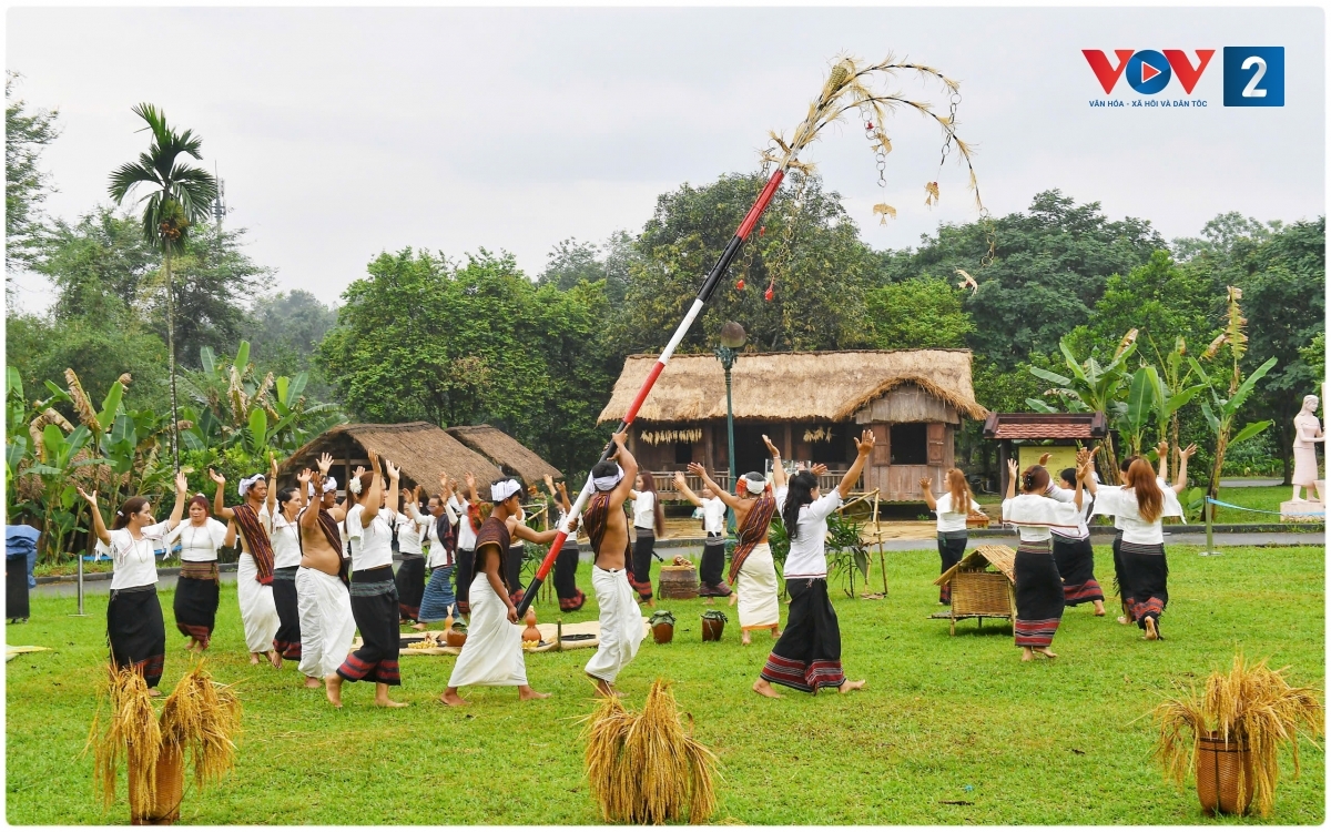 ron rang thanh am arya trong le mung lua moi cua nguoi chu ru hinh anh 1