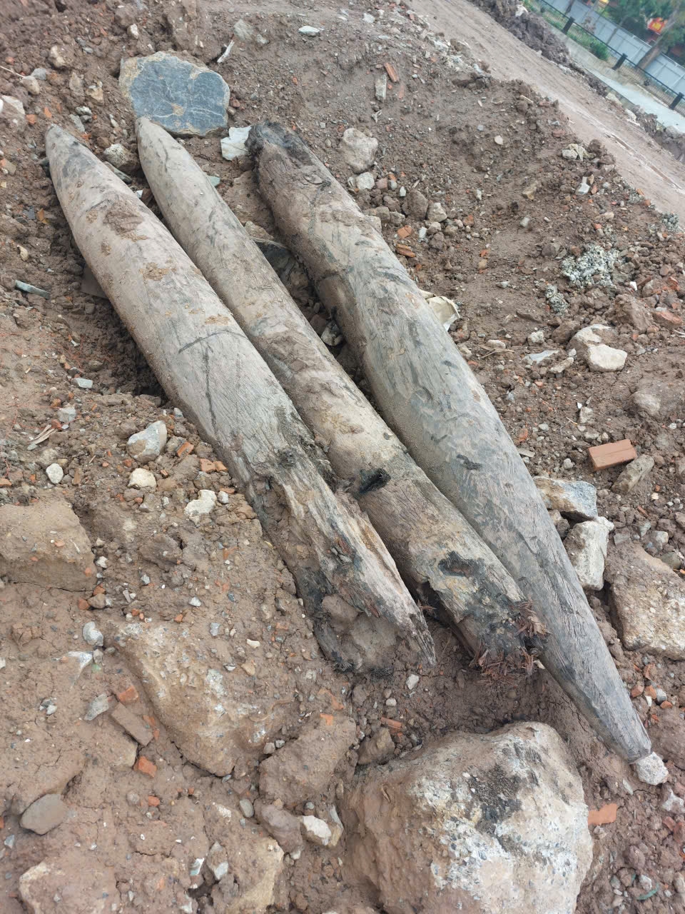 phat hien 3 coc go lon duoi long song ninh binh, nghi dau tich phong thu thoi tran hinh anh 3