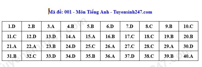 Dap an toan bo 24 ma de thi tieng anh ky thi tuyen sinh lop 10 o ha noi 2026 hinh anh 1