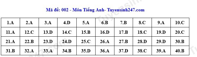 Dap an toan bo 24 ma de thi tieng anh ky thi tuyen sinh lop 10 o ha noi 2026 hinh anh 2