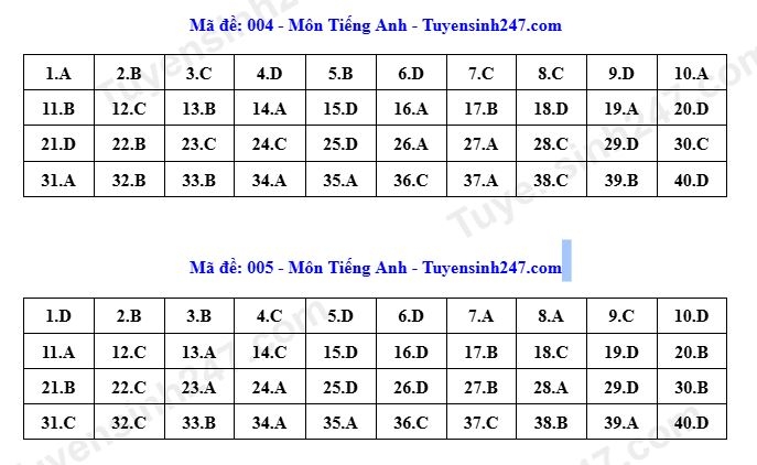 Dap an toan bo 24 ma de thi tieng anh ky thi tuyen sinh lop 10 o ha noi 2026 hinh anh 4