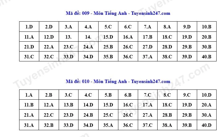 Dap an toan bo 24 ma de thi tieng anh ky thi tuyen sinh lop 10 o ha noi 2026 hinh anh 8