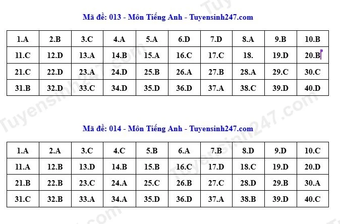 Dap an toan bo 24 ma de thi tieng anh ky thi tuyen sinh lop 10 o ha noi 2026 hinh anh 10