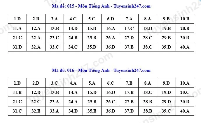 Dap an toan bo 24 ma de thi tieng anh ky thi tuyen sinh lop 10 o ha noi 2026 hinh anh 11