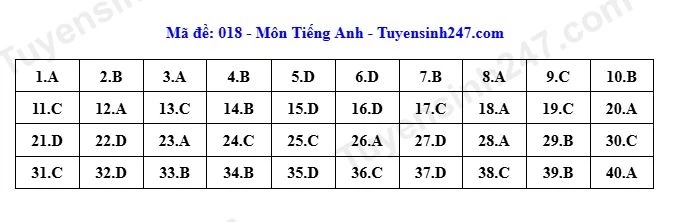 Dap an toan bo 24 ma de thi tieng anh ky thi tuyen sinh lop 10 o ha noi 2026 hinh anh 13