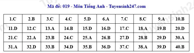 Dap an toan bo 24 ma de thi tieng anh ky thi tuyen sinh lop 10 o ha noi 2026 hinh anh 14