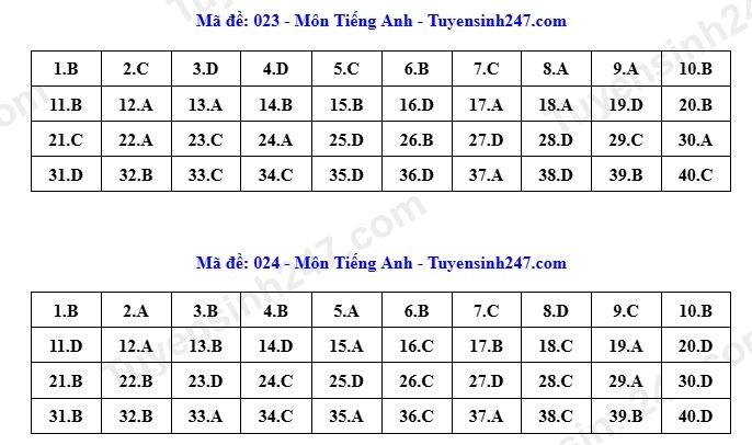 Dap an toan bo 24 ma de thi tieng anh ky thi tuyen sinh lop 10 o ha noi 2026 hinh anh 16