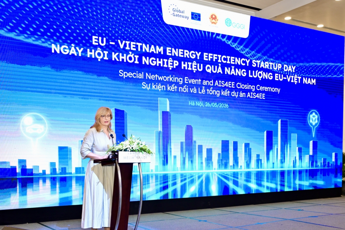 net-zero transition in focus at eu-vietnam energy efficiency startup day picture 1