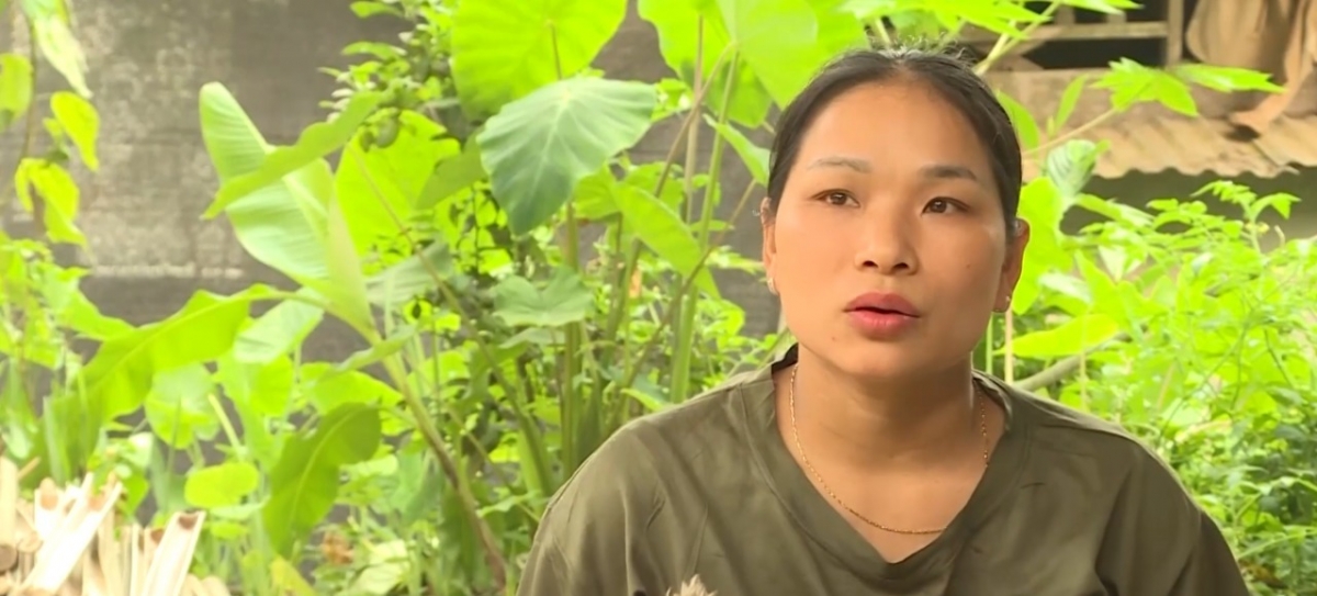 gan 10.000 ha rung vau bi chet, nguoi dan thanh hoa khap kho khan hinh anh 1