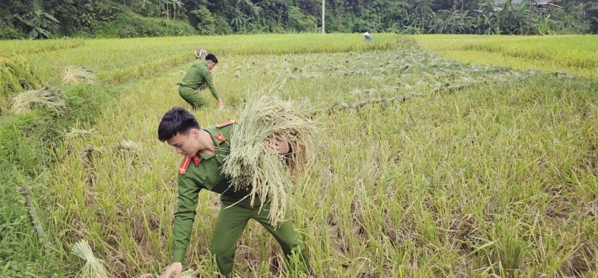 when police officers head to the field to lend a helping hand to farmers picture 1