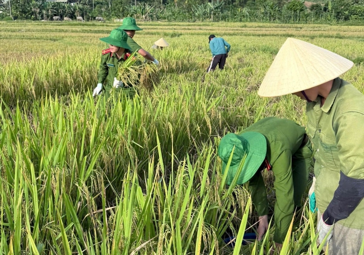 when police officers head to the field to lend a helping hand to farmers picture 10