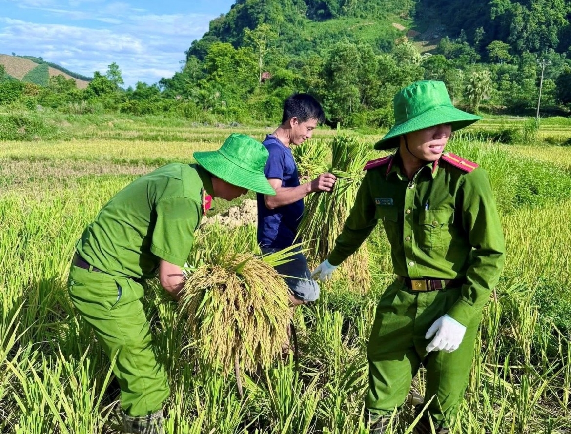 when police officers head to the field to lend a helping hand to farmers picture 11