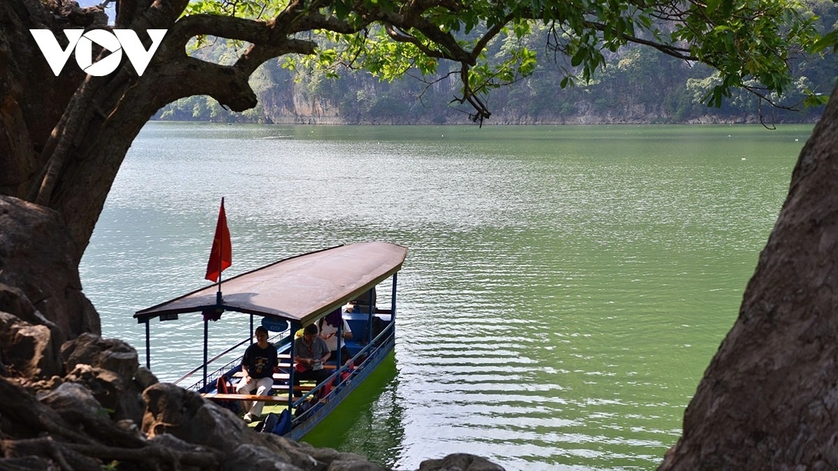 awakening the tea land in the clouds amid thai nguyen s endless green picture 12