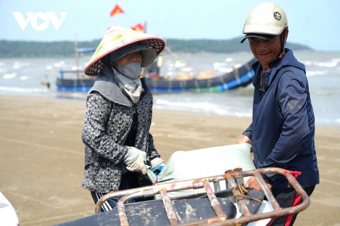 a hardworking day of mini clam diggers along thanh hoa beach picture 13