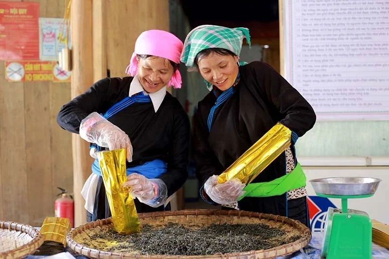 australia tang ngan sach oda cho viet nam hinh anh 1