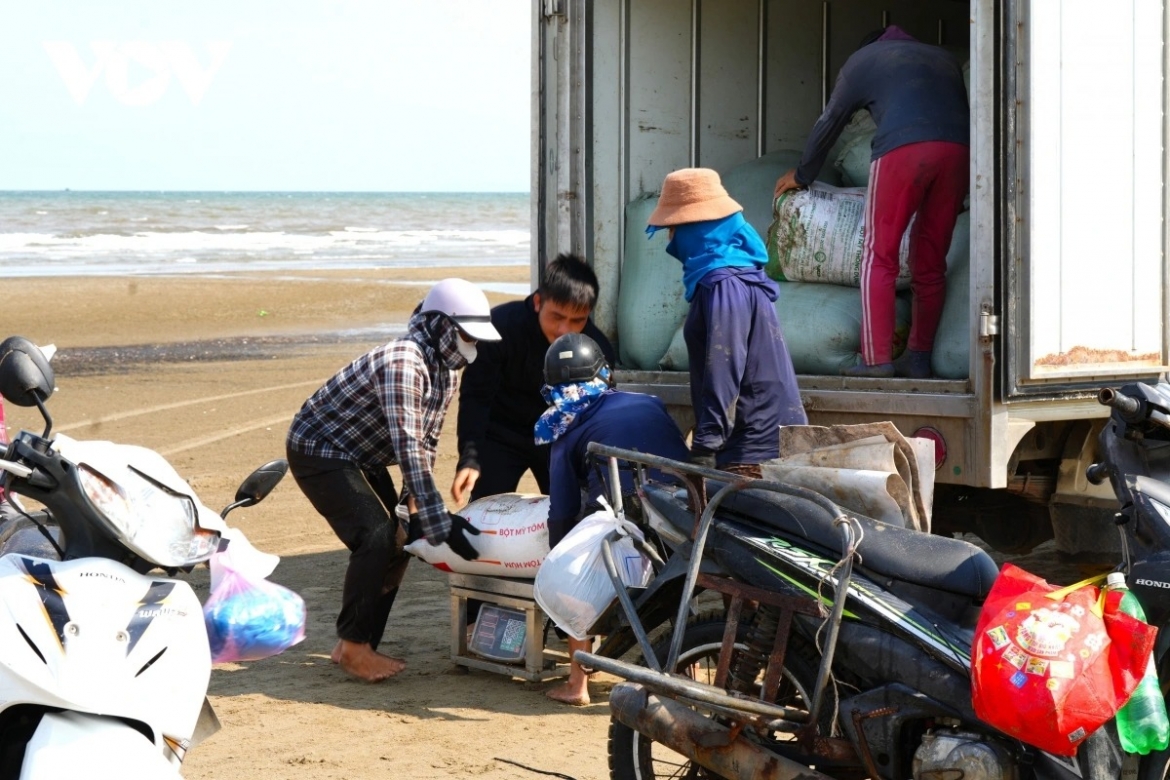 a hardworking day of mini clam diggers along thanh hoa beach picture 14
