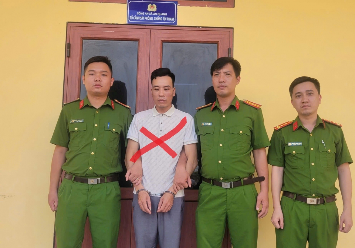 bat dao chich dot nhap nha dan, gay ra 7 vu trom o hai phong hinh anh 1