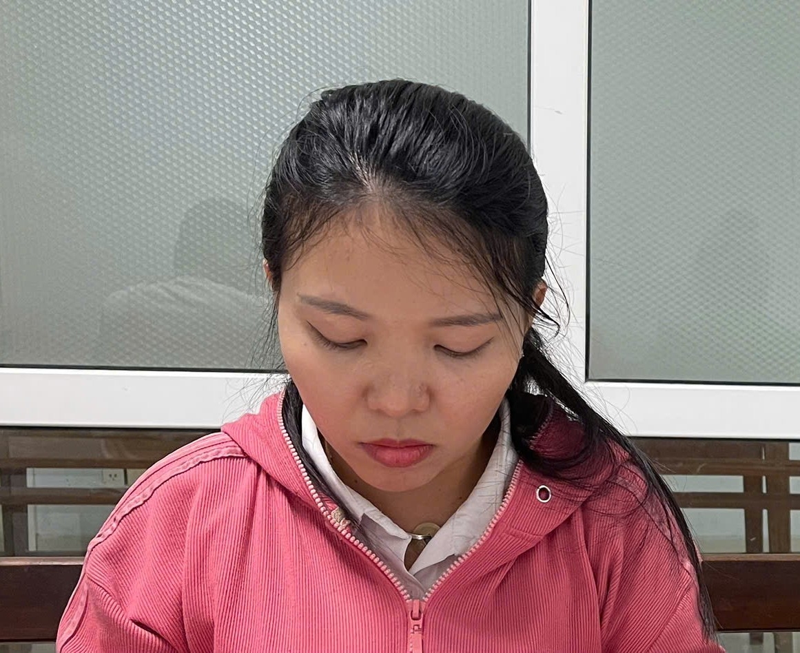 khoi to, bat tam giam co dat lua dao, chiem doat hang ty dong hinh anh 1