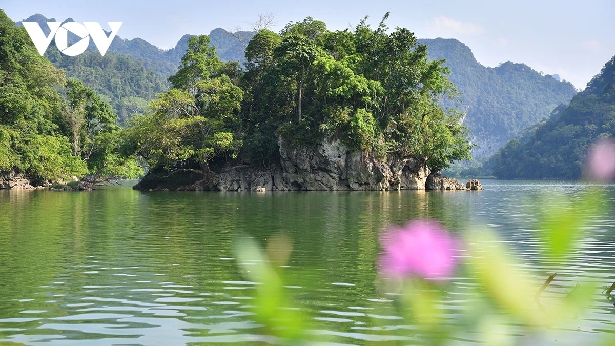 awakening the tea land in the clouds amid thai nguyen s endless green picture 18